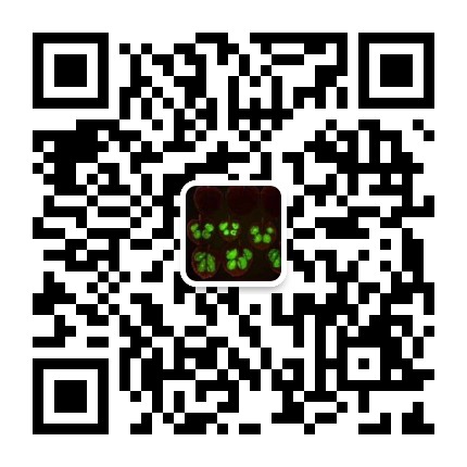 华北地区扫此二维码