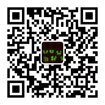 二维码2.png